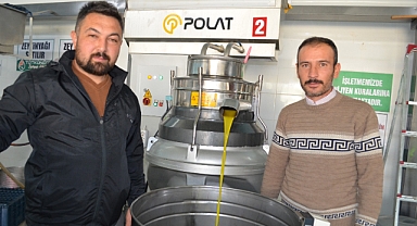 KÖPRÜBAŞI'NDA ERKEN ZEYTİN HASADI İLE SOĞUK SIKIM ZEYTİNYAĞI ÜRETİMİ DE BAŞLADI