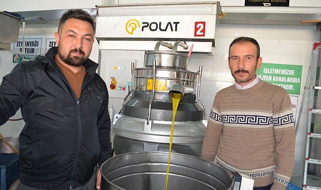 KÖPRÜBAŞI'NDA ERKEN ZEYTİN HASADI İLE SOĞUK SIKIM ZEYTİNYAĞI ÜRETİMİ DE BAŞLADI