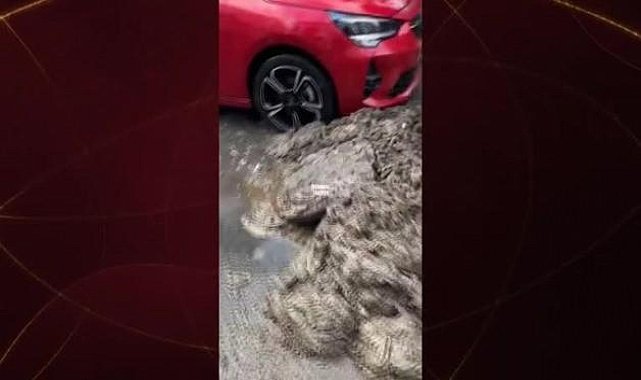 Bakırköy'deki kanalizasyon görüntüsü vatandaşı isyan ettirdi!