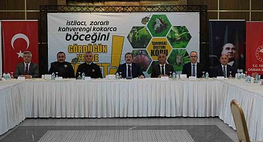 Samsun'da kahverengi kokarca ile amansız mücadele