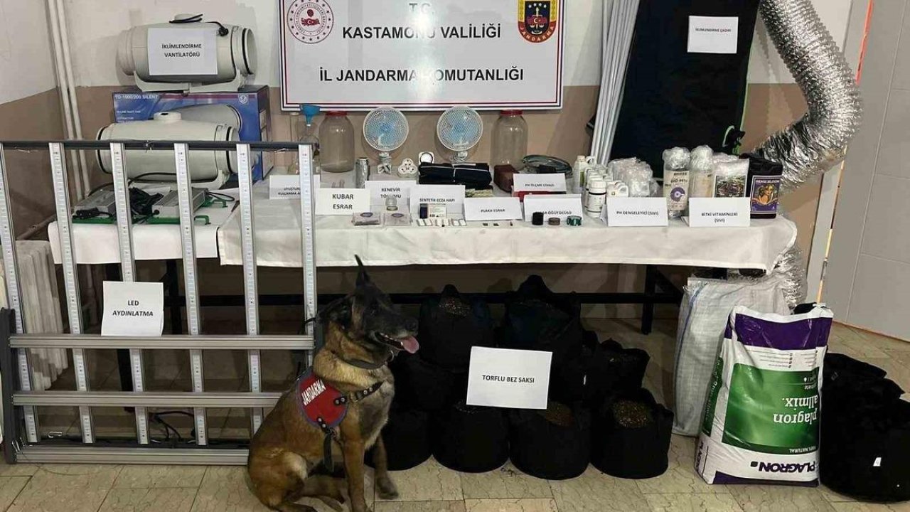 Kastamonu’da uyuşturucu operasyonu: 6 gözaltı