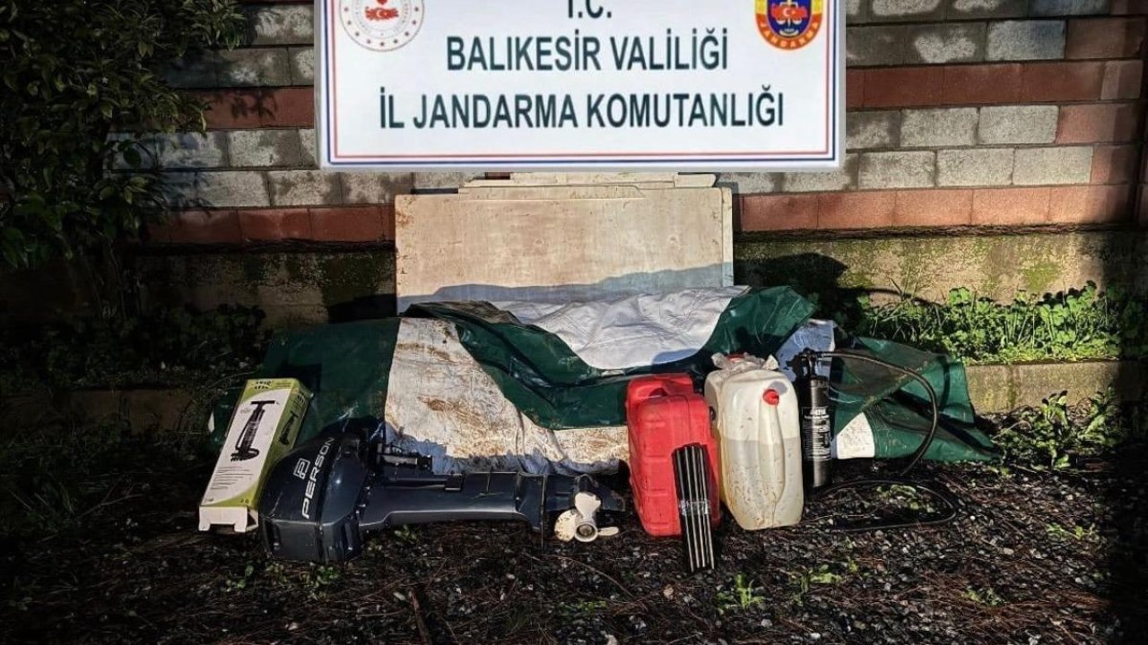 Düzensiz göçmenler zeytinlik alanda yakalandı