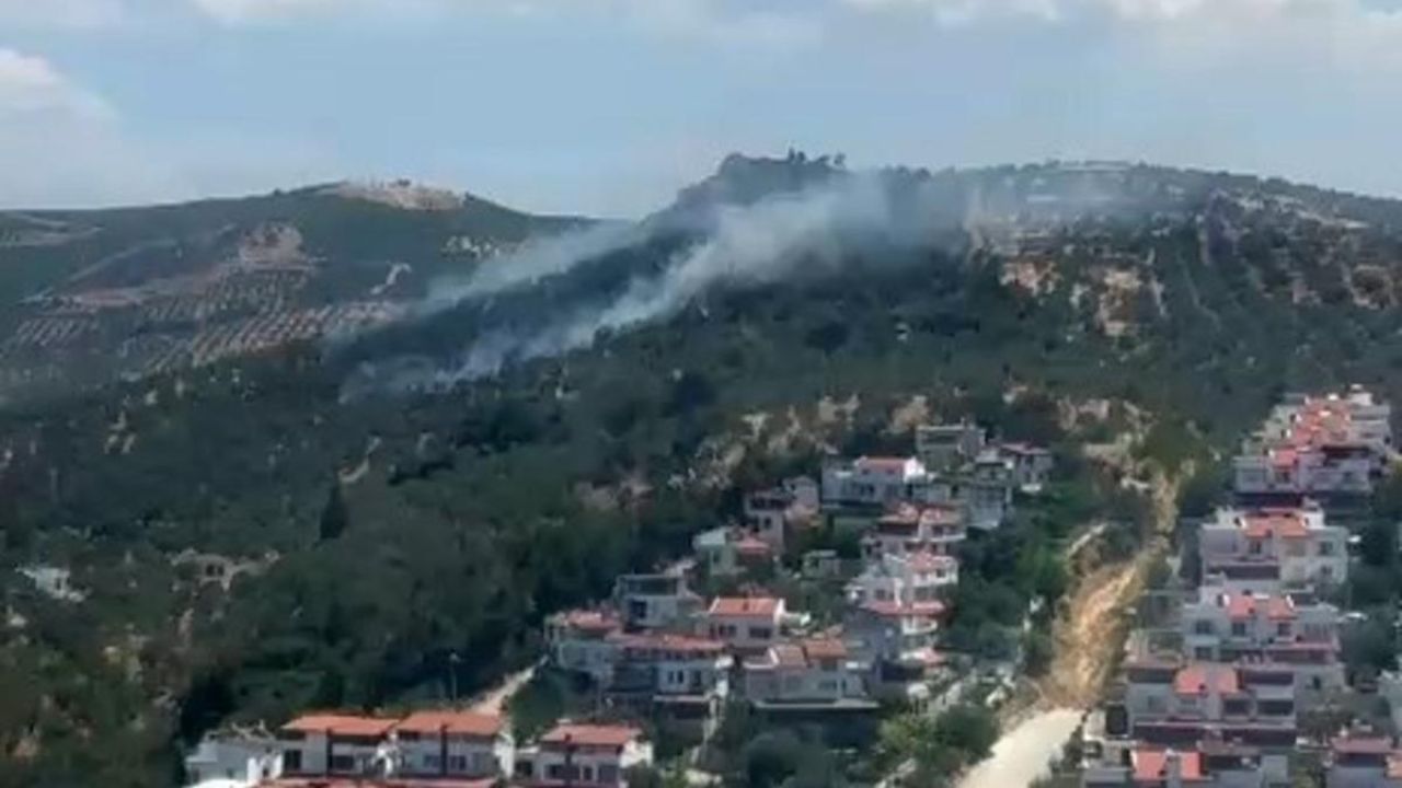 Burhaniye’deki zeytinlik yangını kontrol altına alındı