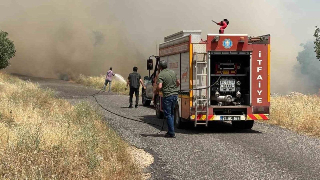 Diyarbakır’da ekili arazide yangın: Yüzlerce dönüm buğday tarlası kül oldu