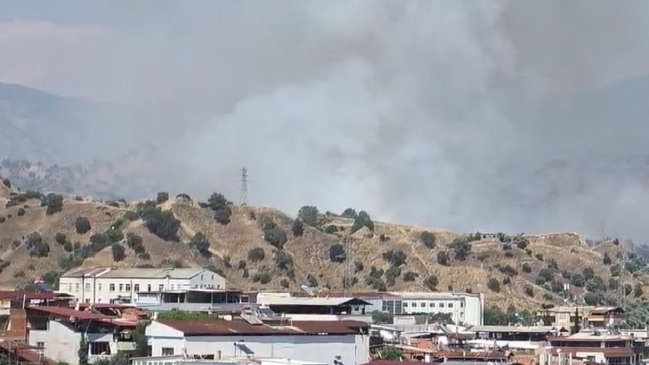 Nazilli’de zirai alan yangını