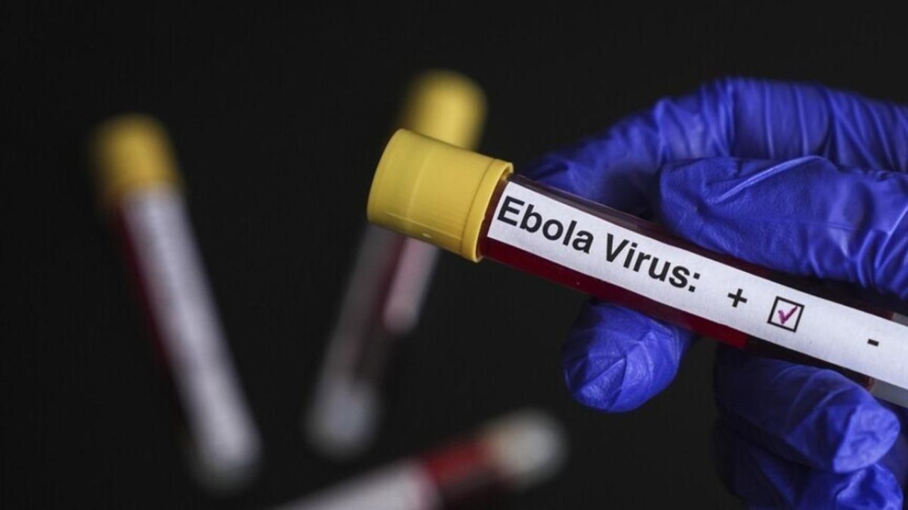 Nijerya, Ebola tehdidi nedeniyle 10 eyaleti alarm durumuna geçirdi
