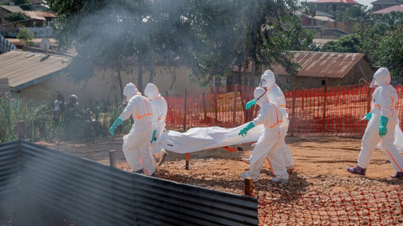 Ölümcül Ebola virüsü Fransa'da: İlk vaka tespit edildi
