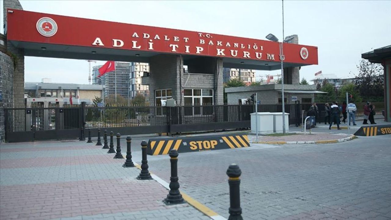 Ordu’da ineğin teptiği kadın hayatını kaybetti