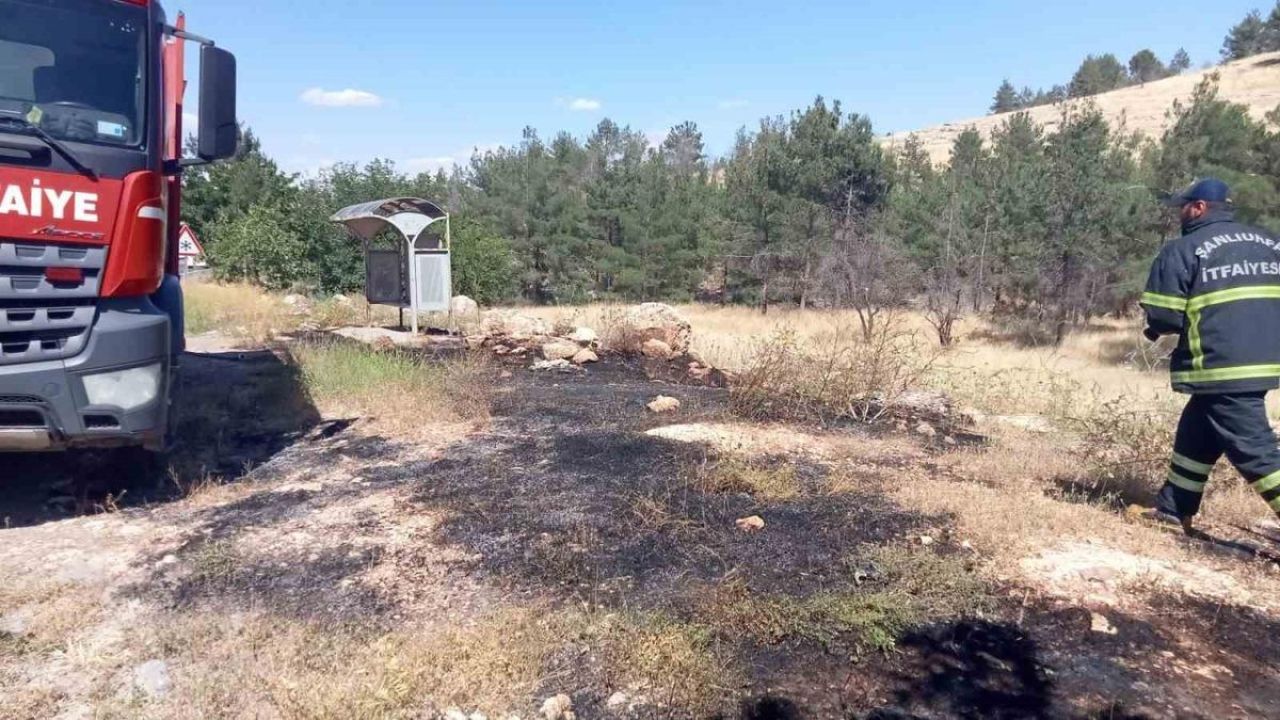 Şanlıurfa'da ormanlık alandaki yangın söndürüldü