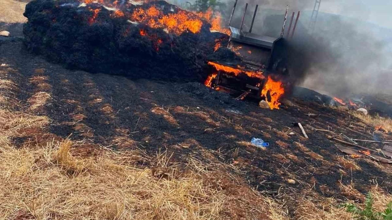 Tarsus’ta saman balyaları alevlere teslim oldu