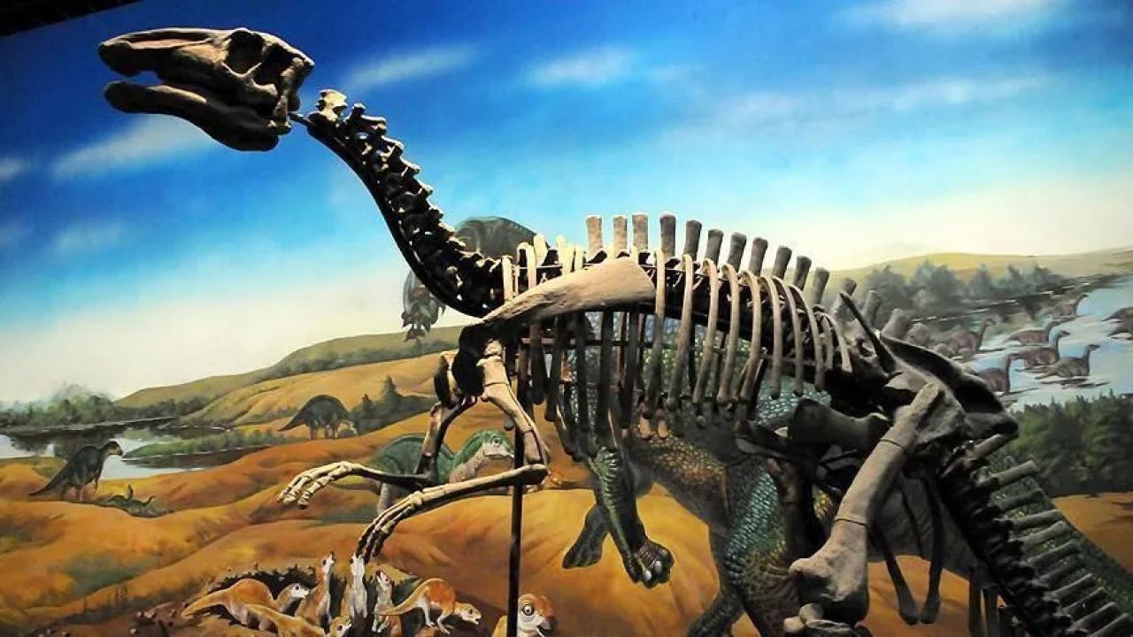 Boyu 20 metreye kadar çıkabiliyor… Tayland'da yeni dinozor türü keşfedildi