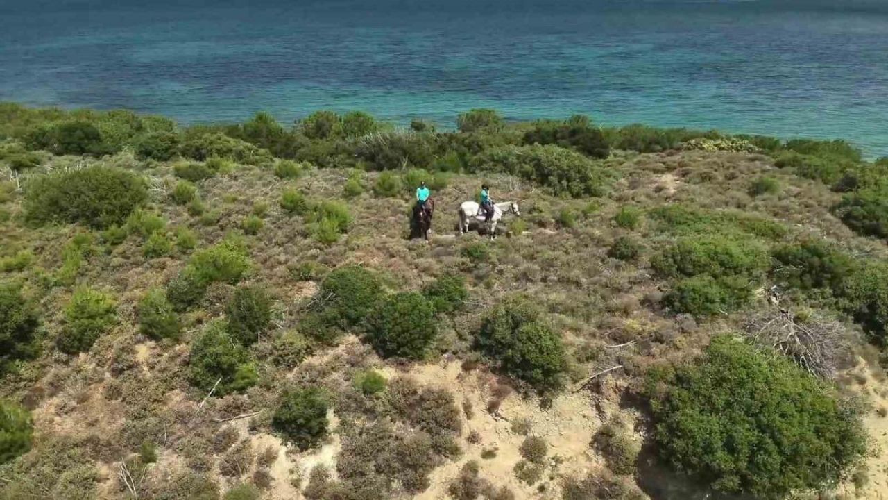 Çanakkale’de orman yangınlarına karşı ekipleri sahada