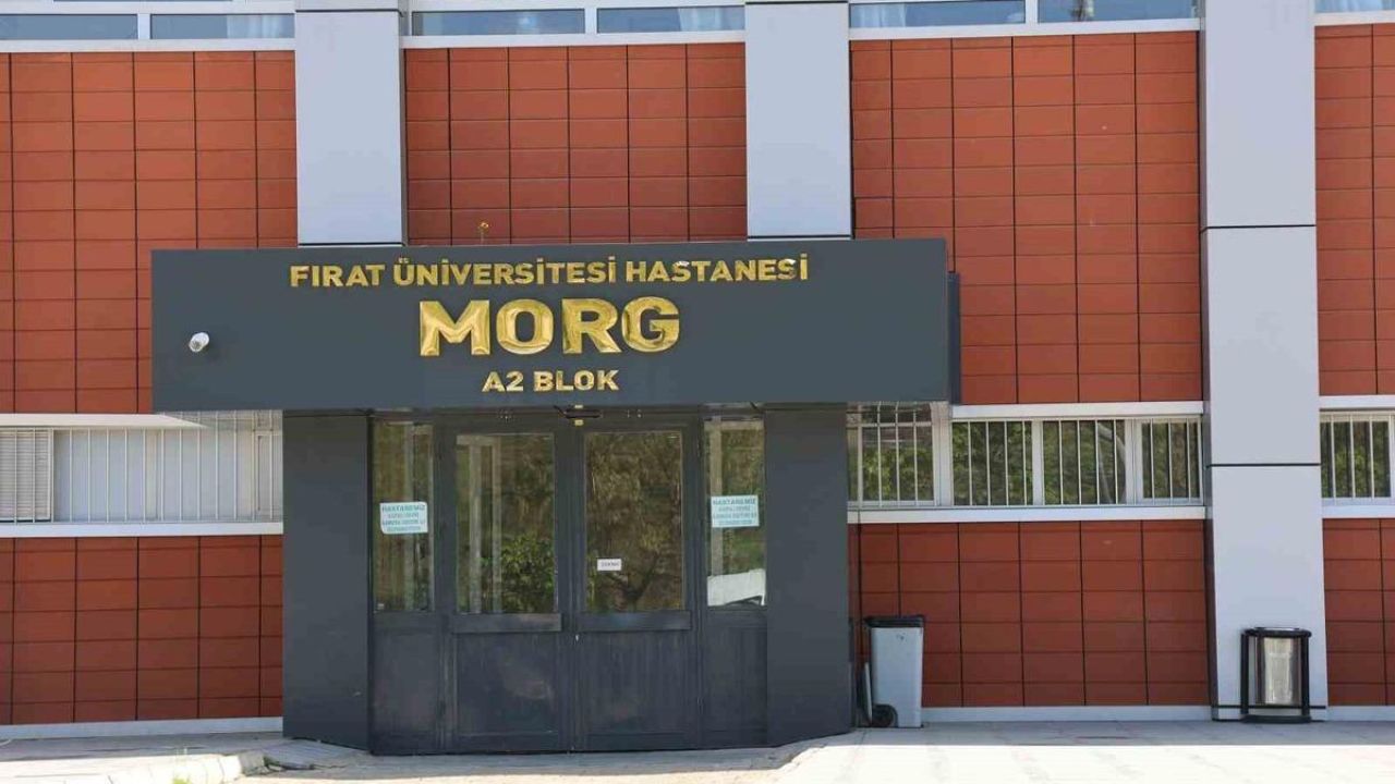 Elazığ’da iş makinesinin altında kalan işçi, hayatını kaybetti