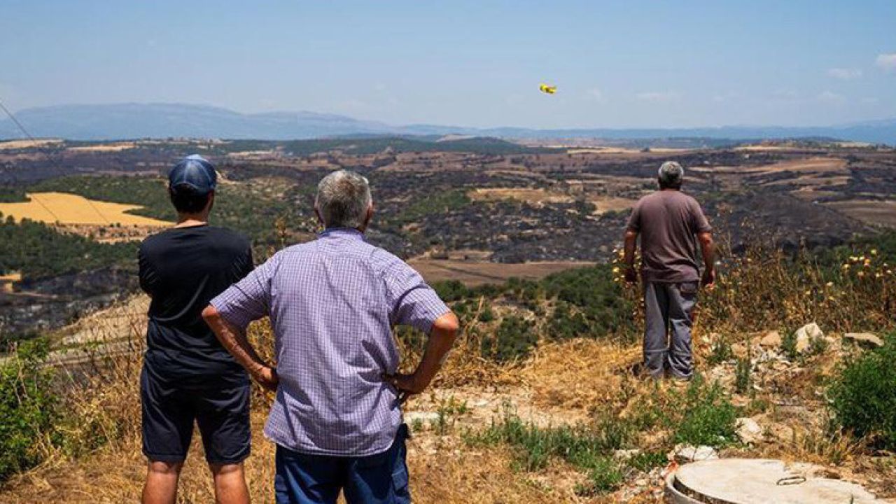 İspanya'da orman yangını: Binlerce kişi tahliye edildi