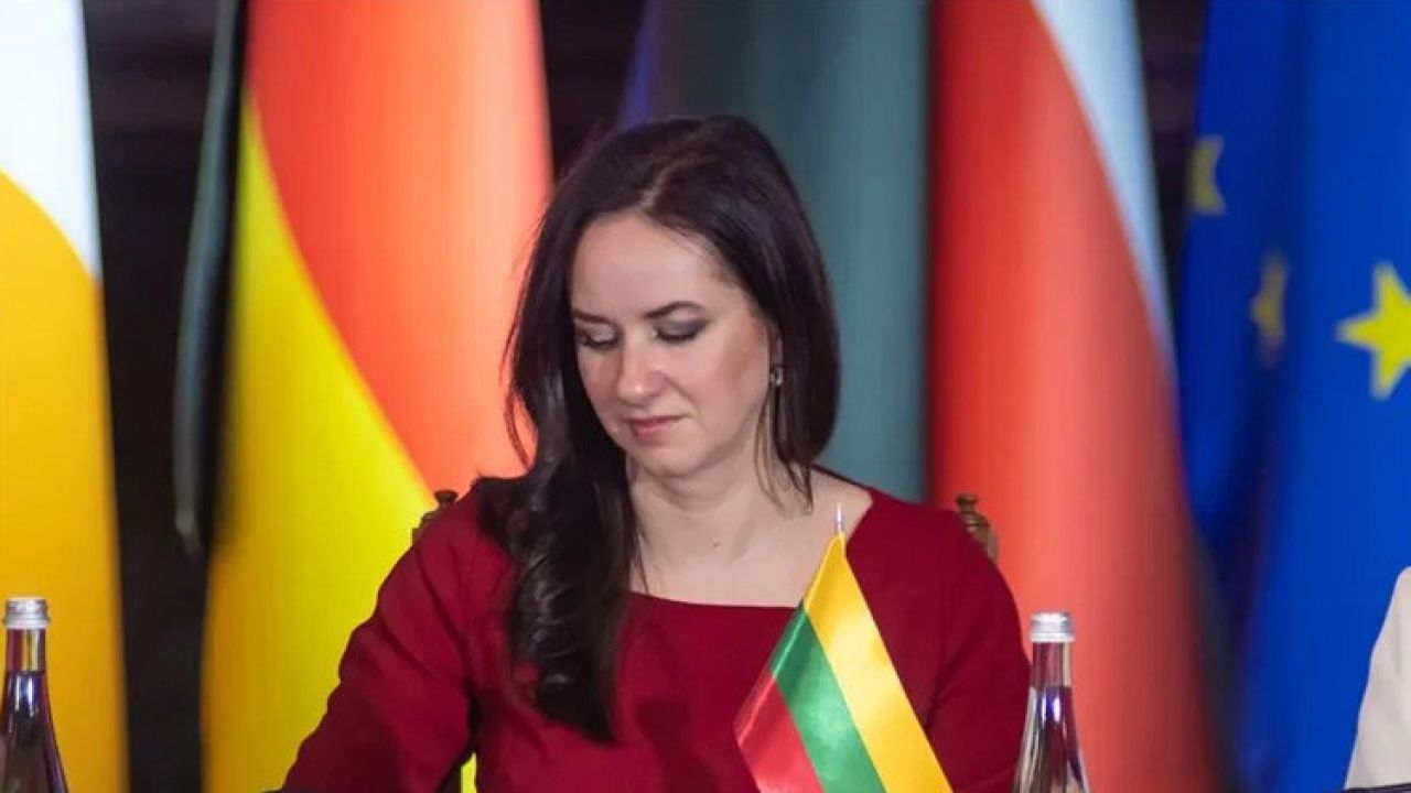 Litvanya'dan Türkiye'ye övgü: Takdirle karşılıyoruz
